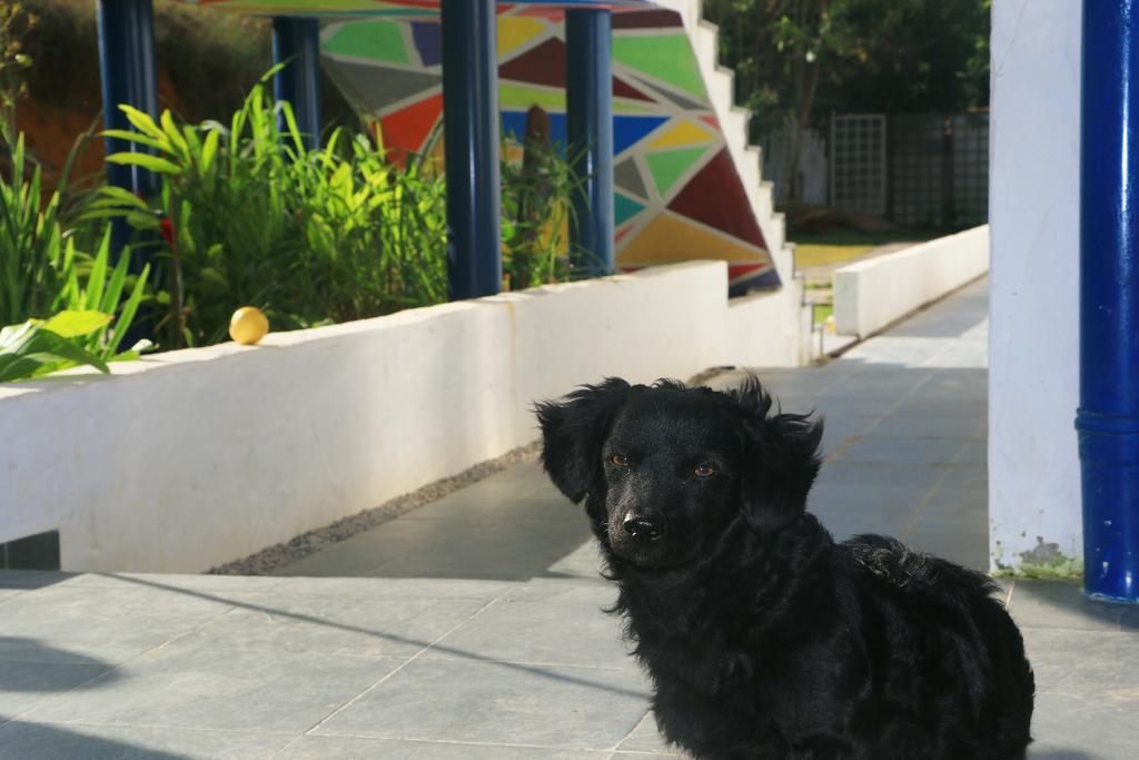 Cristama Residence Inn Ubatuba Kültér fotó